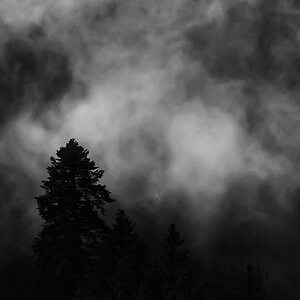 Nebel.jpg