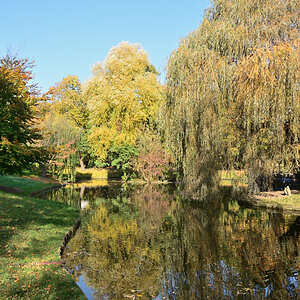 DSC_2401.JPG