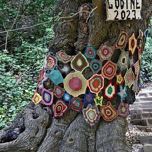 split_nationalpark_krka_baum.jpg