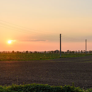 OF2_70660.jpg