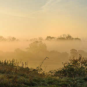 OF2_70681.jpg