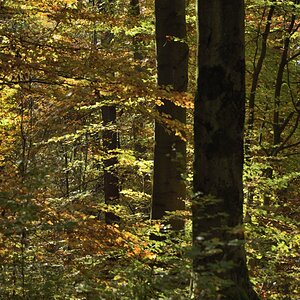 DSC_2669_00001n.jpg
