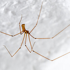 OF5_47283.jpg