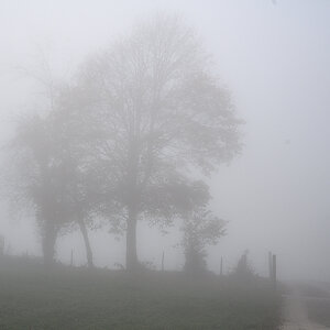 Nebel.jpg