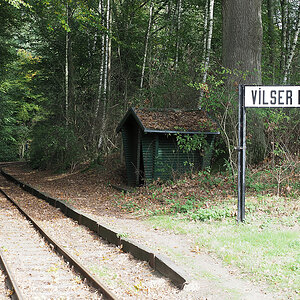 Vilser Holz.jpg