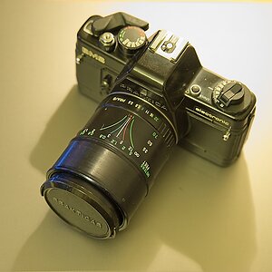DSC_3853_NIKON Z 5_1200.jpg