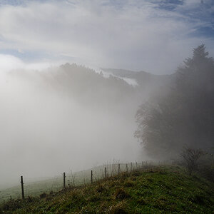 Herbstnebel.jpg