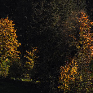 PA280014.jpg