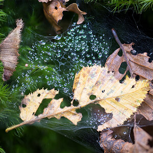 Herbst.jpg
