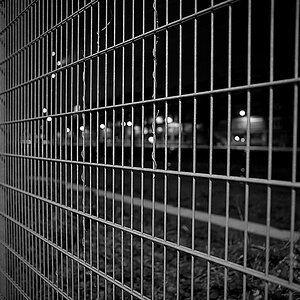 DSC_3560_NIKON Z 5_bw_1200.jpg