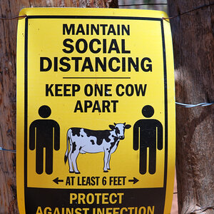 social distancing im Wilden Westen