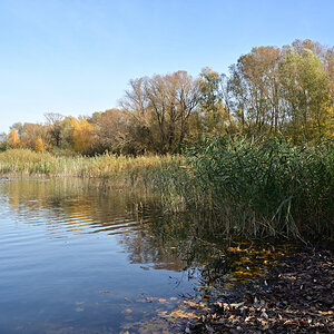 DSC_2450.JPG
