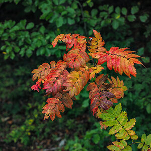 P9280131.jpg