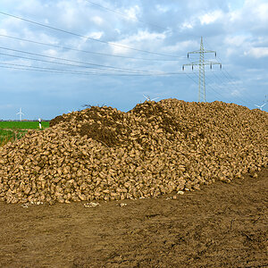 OF2_70780.jpg