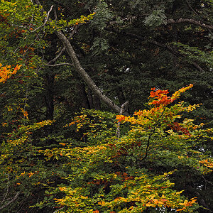 P9280140.jpg