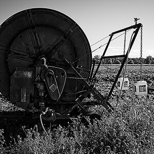 20240714_084936_Z5_bw_1200.jpg