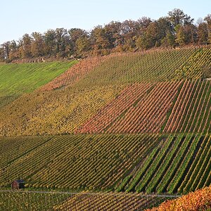 herbst02.jpg