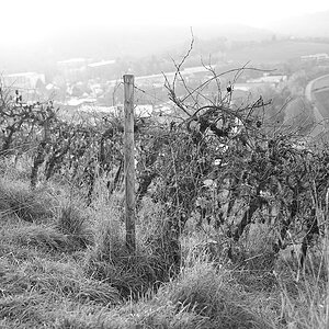 herbst09.jpg