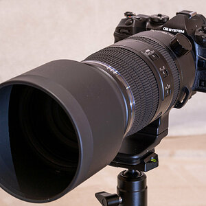 OM-System 150-600 an OM-1 Mark II