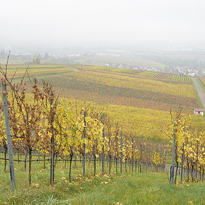 Helfenberg_Zf_DSC0085_12x18x150.jpg