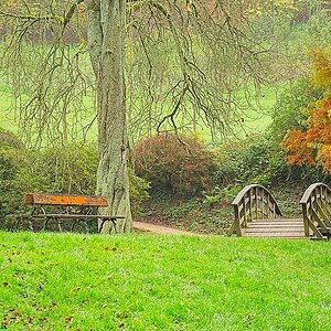 DSC_4066_NIKON Z 5_1200-2.jpg