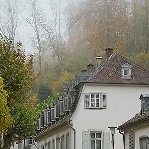 DSC_4087_NIKON Z 5_1200.jpg