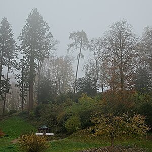DSC_4106_NIKON Z 5_1200.jpg