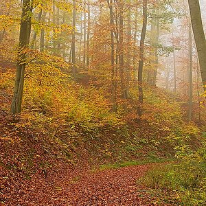 DSC_4121_NIKON Z 5_1200-2.jpg