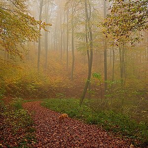 DSC_4123_NIKON Z 5_1200-2.jpg