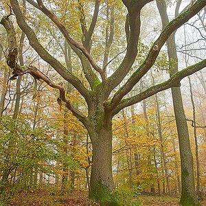 DSC_4148_NIKON Z 5_1200-2.jpg
