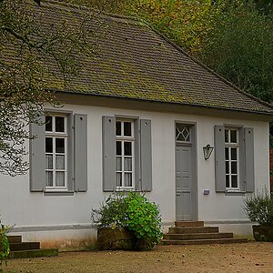 DSC_4156_NIKON Z 5_1200.jpg