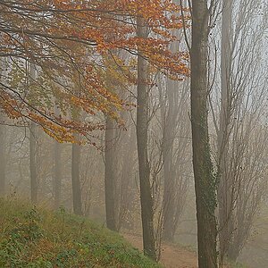 DSC_4140_NIKON Z 5_1200.jpg