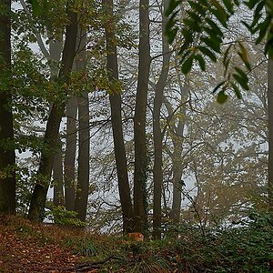 DSC_4133_NIKON Z 5_1200-2.jpg