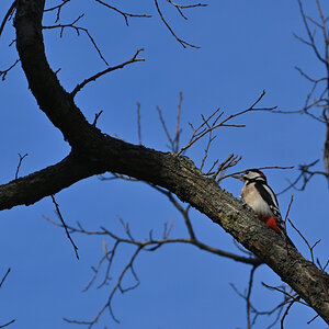 U02_2760-1200x800.jpeg