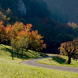 Herbst.jpg