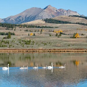 Web_Yellowstone Tetons-24.jpg