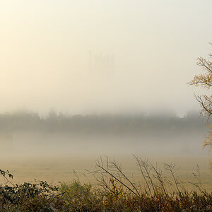 OF2_70713.jpg