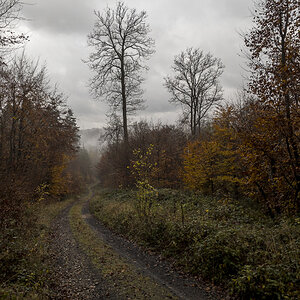 November