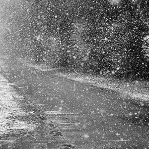 Der erste Schnee 191124 - 2 BW-1.jpg