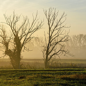 OF2_70690.jpg