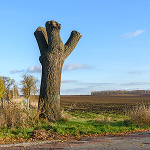 OF2_71105.jpg