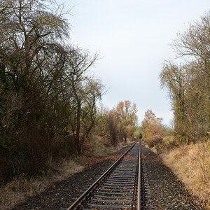 DSC_2473.JPG