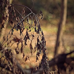 DSC_4480_NIKON Z 5_1200.jpg