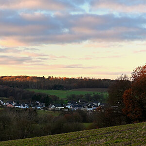 Z50_0156.JPG