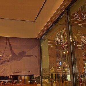 DSC_4623_NIKON Z 5_1200.jpg