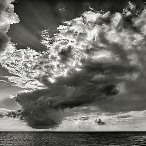 ZSE_5646_1_sw_nff.JPG