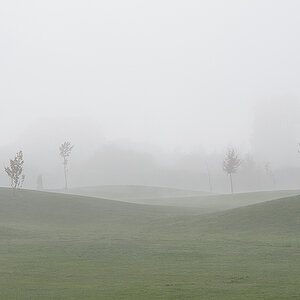 Nebel.jpg