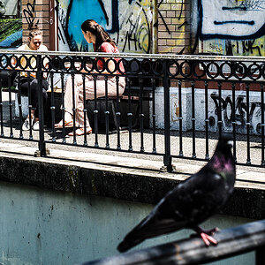 P7170060-Edit.jpg