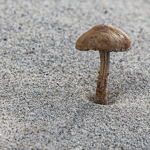 N6122659nikon.jpg
