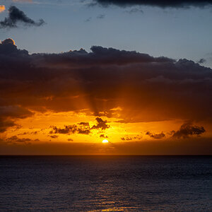 20240929-NZ7_0059.jpg